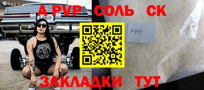 шишки Тверь
