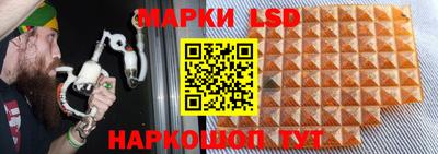 прущие грибы Тула